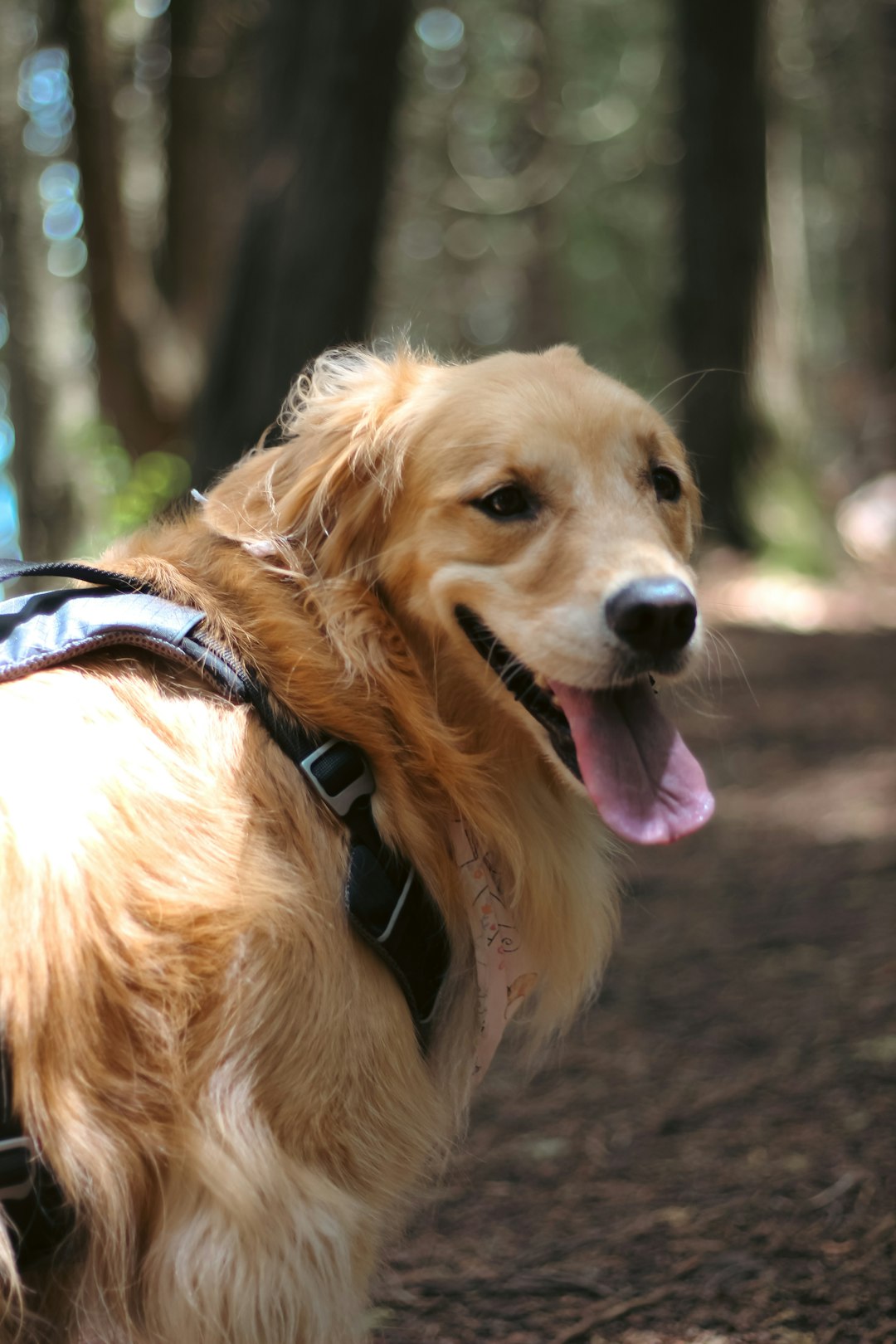 Сколько Роскосмос потратил на фильм Вызов?